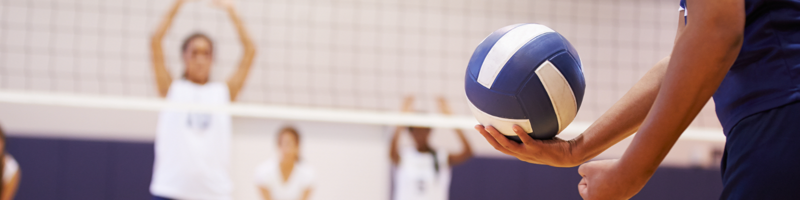 adult volleyball league