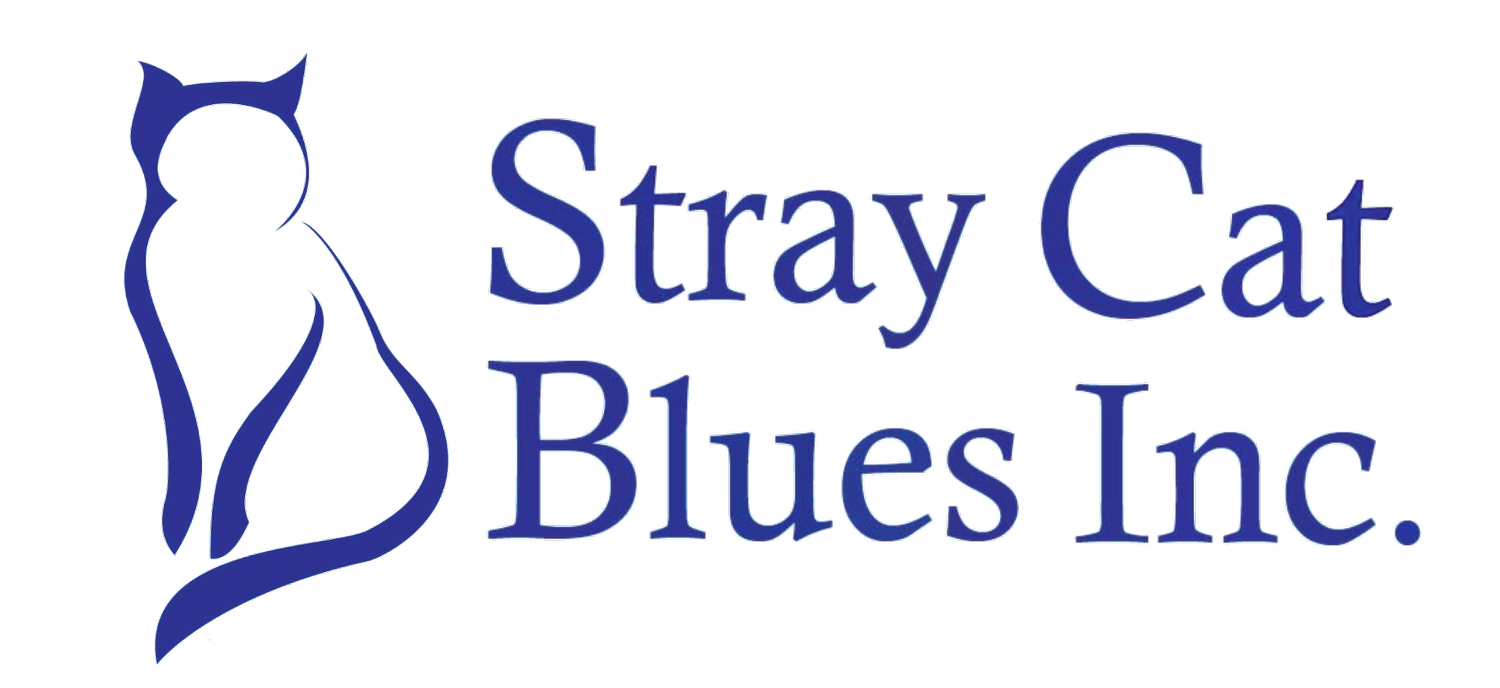 Stray Cat Blues logo